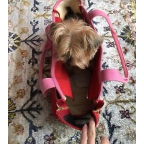 RARE kate spade fuchsia red small pet dog carrier - Picture 8 of 8
